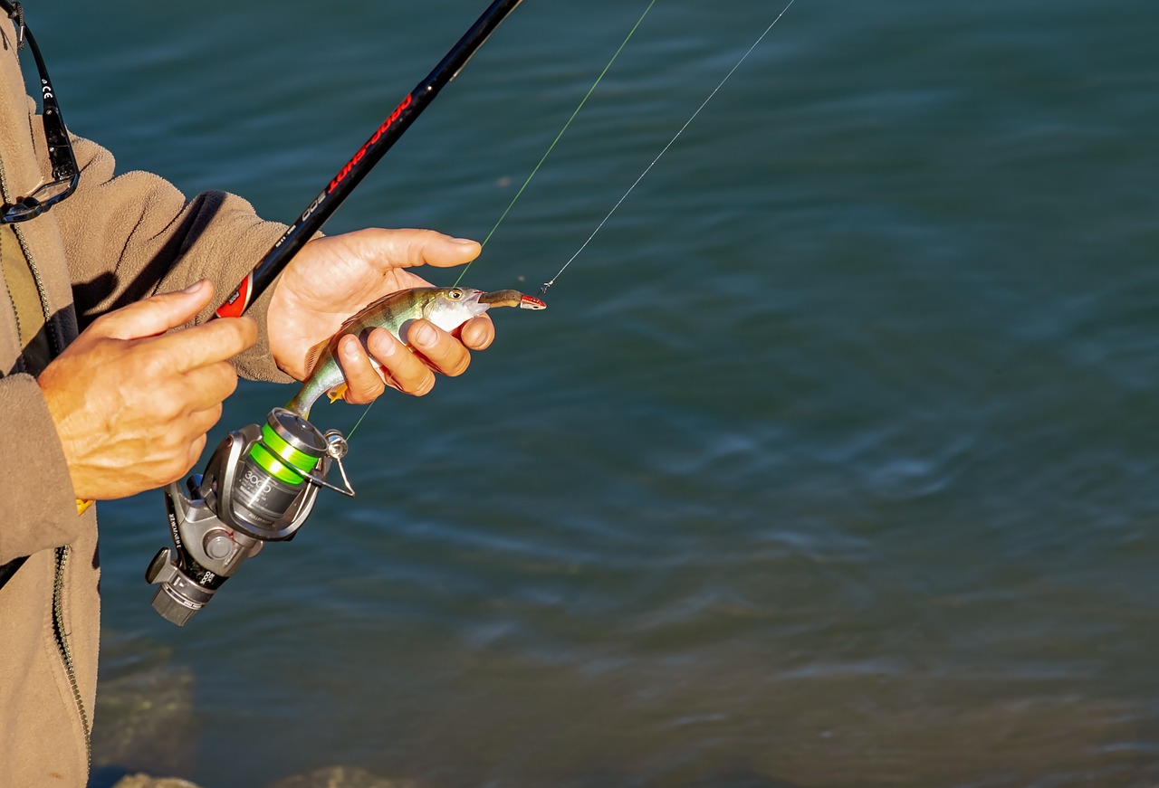  Quelques règles pratiques à éviter lorsqu’on fait de la pêche